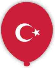 Kars Parti Malzemesi 8