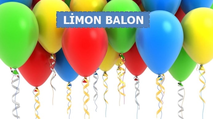 Van Parti Malzemesi 22