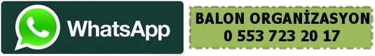Bayburt Parti Malzemesi 23
