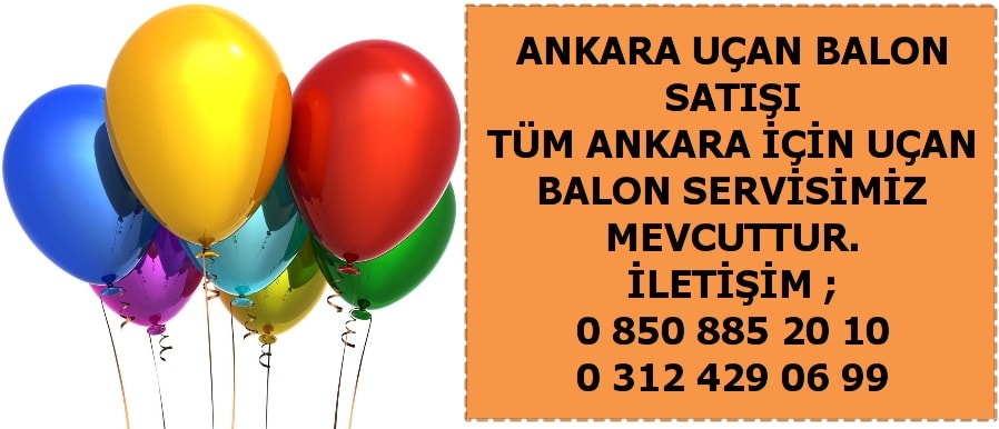 Bitlis Parti Malzemesi 22
